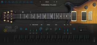 Ample Guitar PF product image